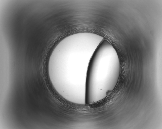 X0000096460642200801241119