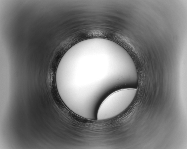 X0000096460645200801241119