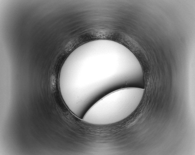 X0000096460646200801241119