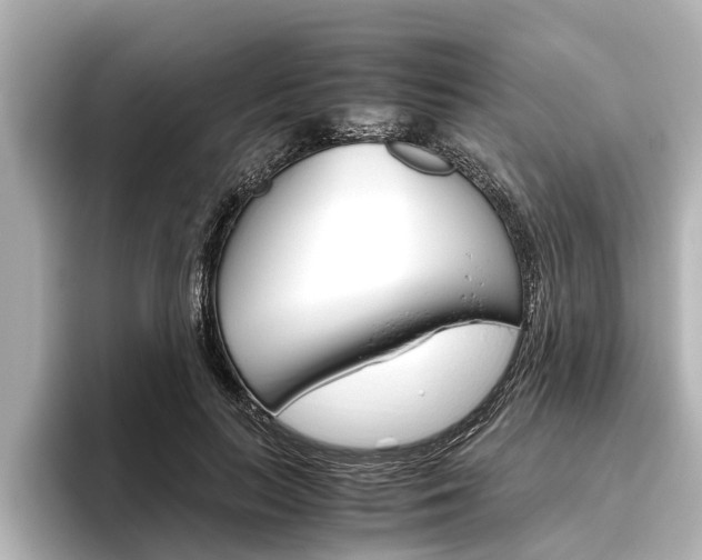 X0000096460647200801241119