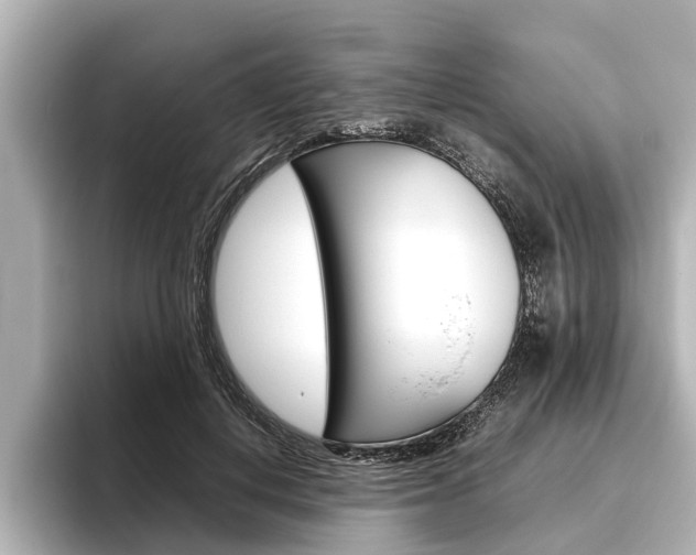 X0000096460648200801241119