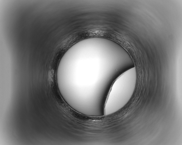 X0000096460649200801241119