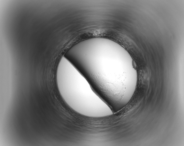 X0000096460650200801241119