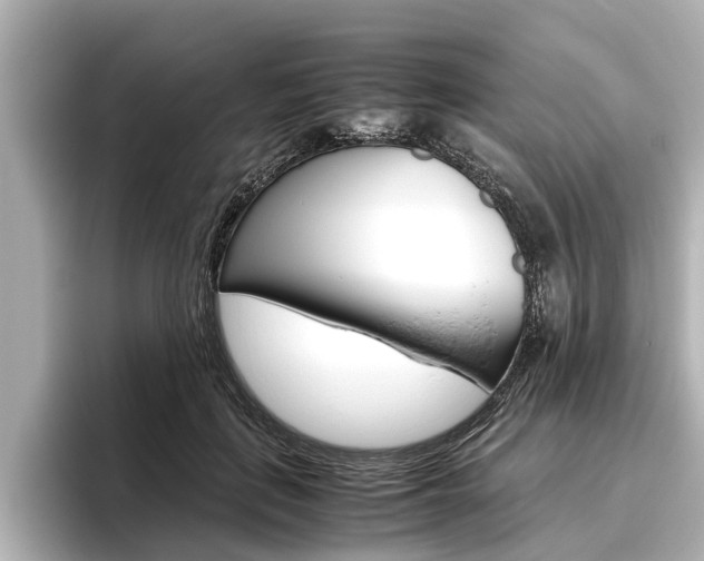 X0000096460651200801241119