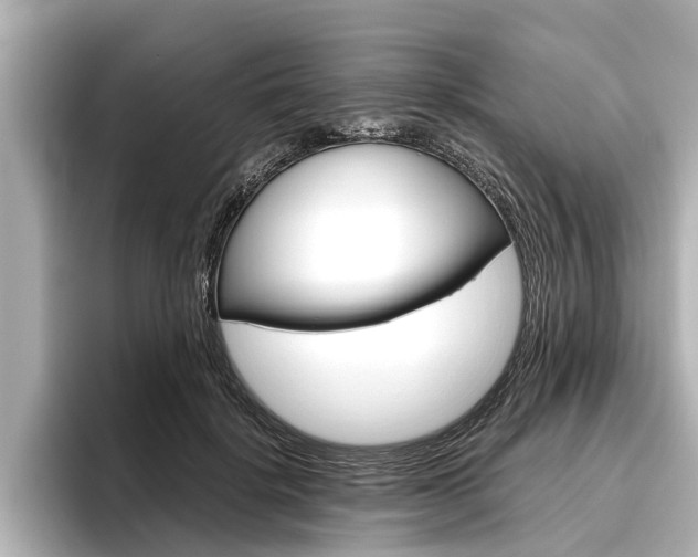 X0000096460652200801241119