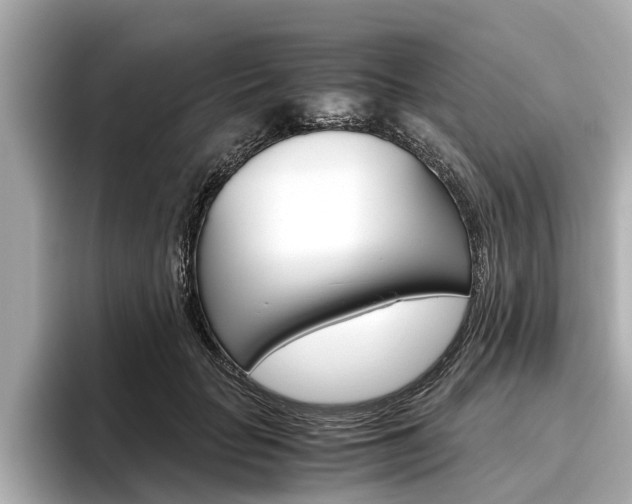 X0000096460653200801241119