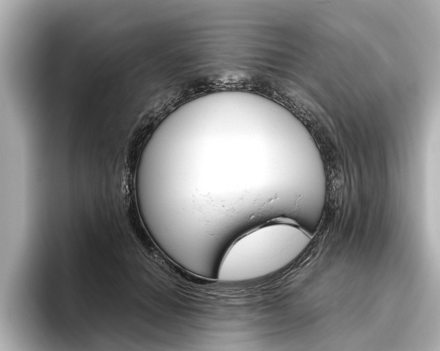 X0000096460654200801241119