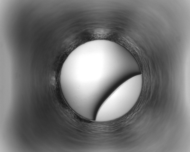 X0000096460655200801241119