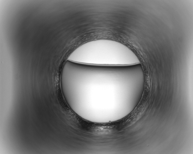 X0000096460657200801241119