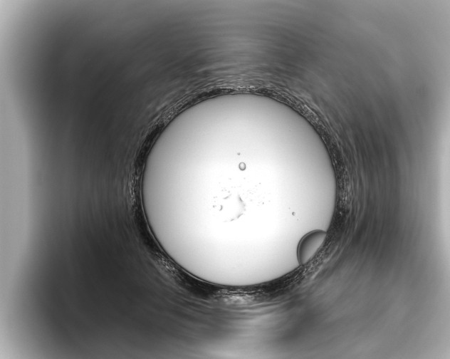 X0000096460658200801241119
