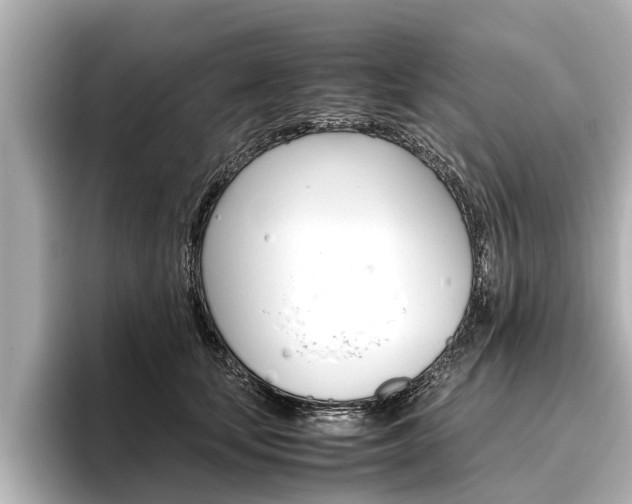 X0000096460659200801241119