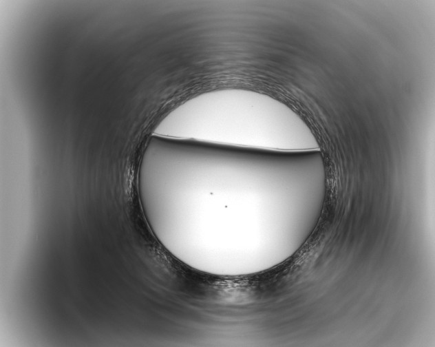 X0000096460660200801241119