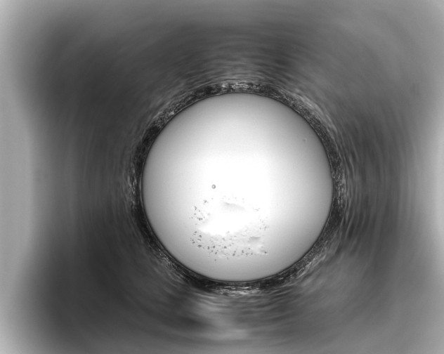 X0000096460661200801241119