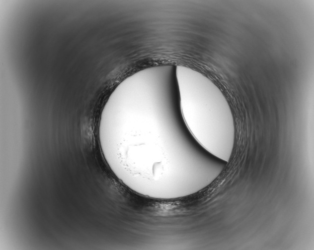 X0000096460662200801241119
