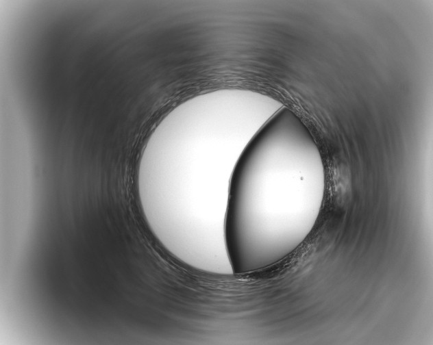 X0000096460664200801241119