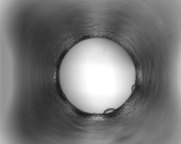 X0000096460668200801241119