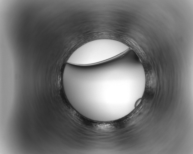 X0000096460669200801241119