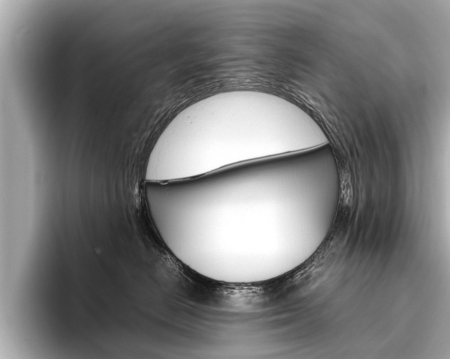 X0000096460670200801241119