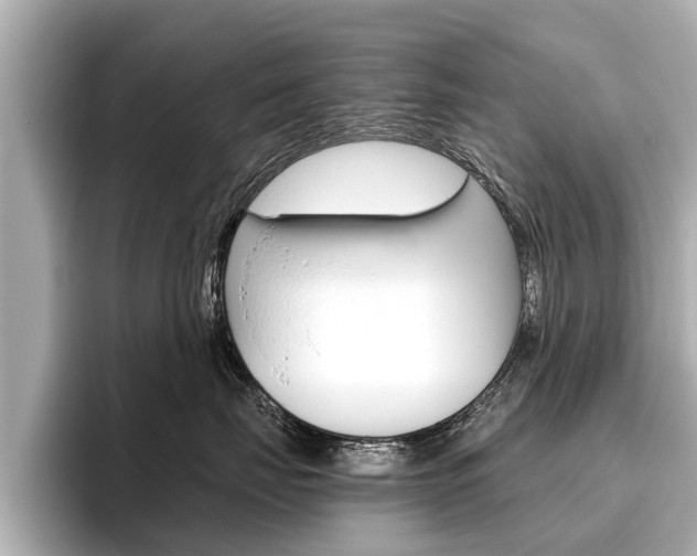 X0000096460671200801241119