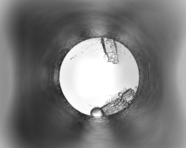 X0000096460672200801241119