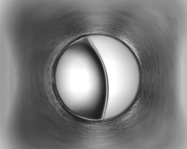 X0000096460673200801241118