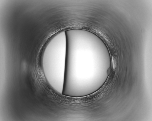 X0000096460675200801241118