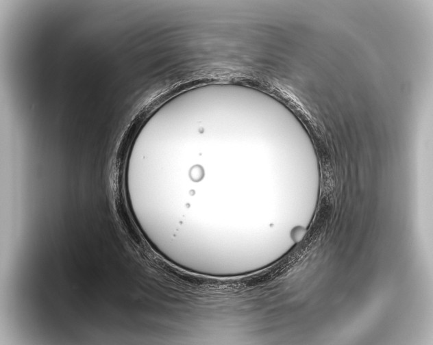 X0000096460679200801241118