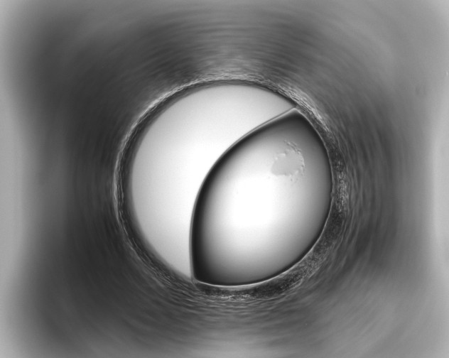 X0000096460680200801241118