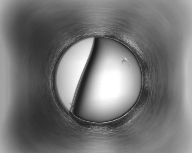 X0000096460681200801241118