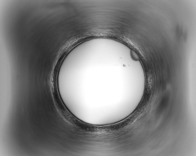 X0000096460682200801241118