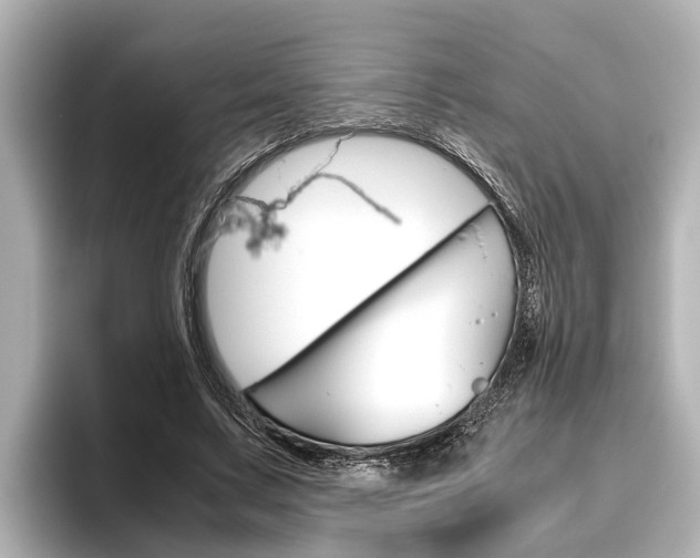 X0000096460683200801241118