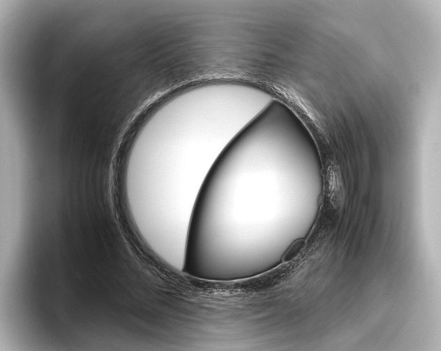 X0000096460684200801241118