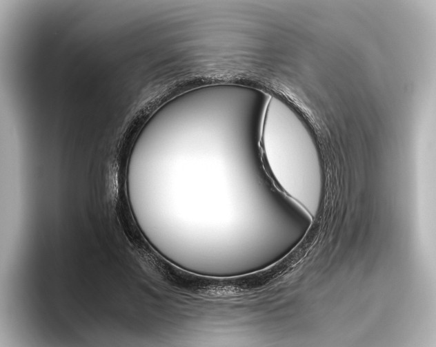 X0000096460685200801241118