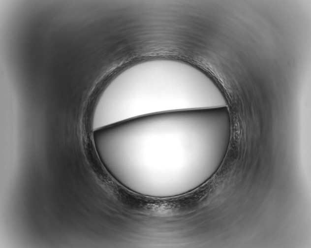 X0000096460688200801241118