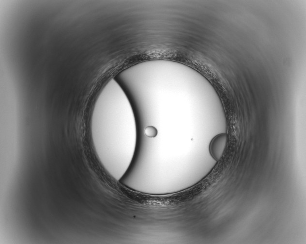 X0000096460690200801241118
