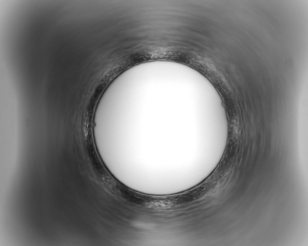 X0000096460691200801241118