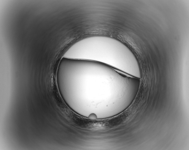 X0000096460692200801241118