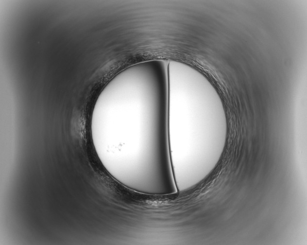 X0000096460693200801241118