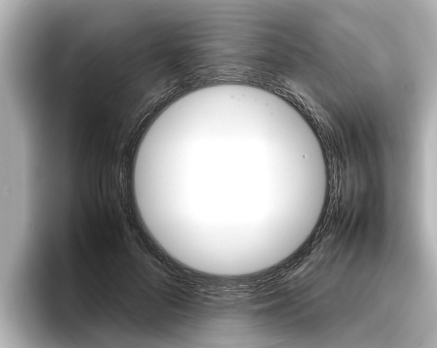 X0000096460696200801241118