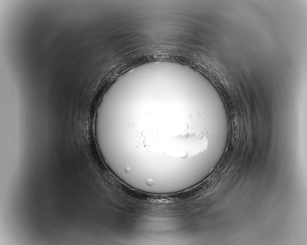 X0000096460698200801241118
