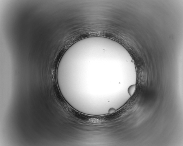 X0000096460699200801241118