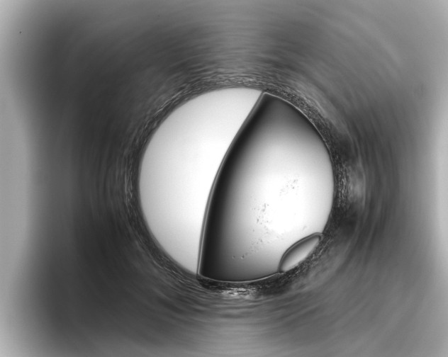 X0000096460700200801241118