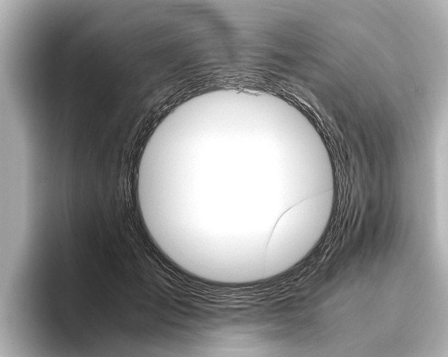 X0000096460701200801241118