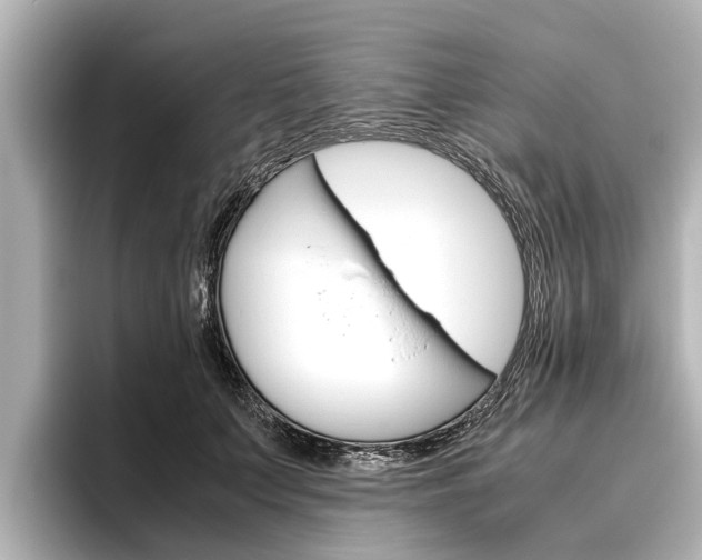 X0000096460703200801241118