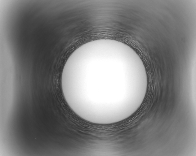 X0000096460705200801241118