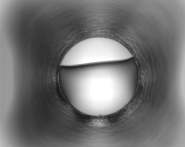 X0000096460708200801241118