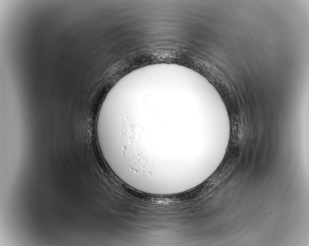 X0000096460710200801241118