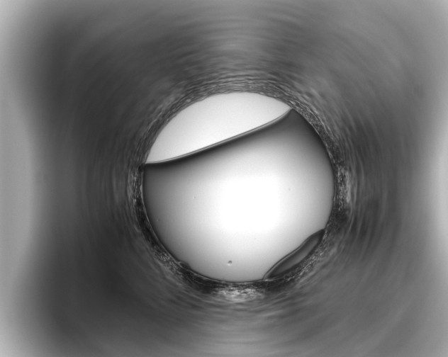 X0000096460712200801241118