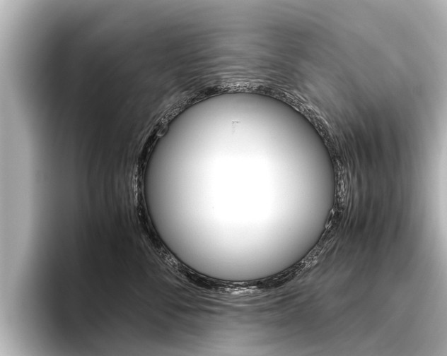 X0000096460716200801241118
