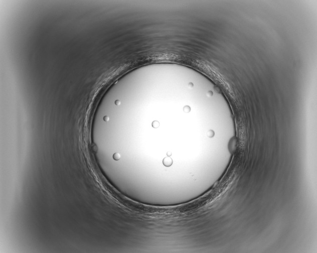 X0000096460721200801241117
